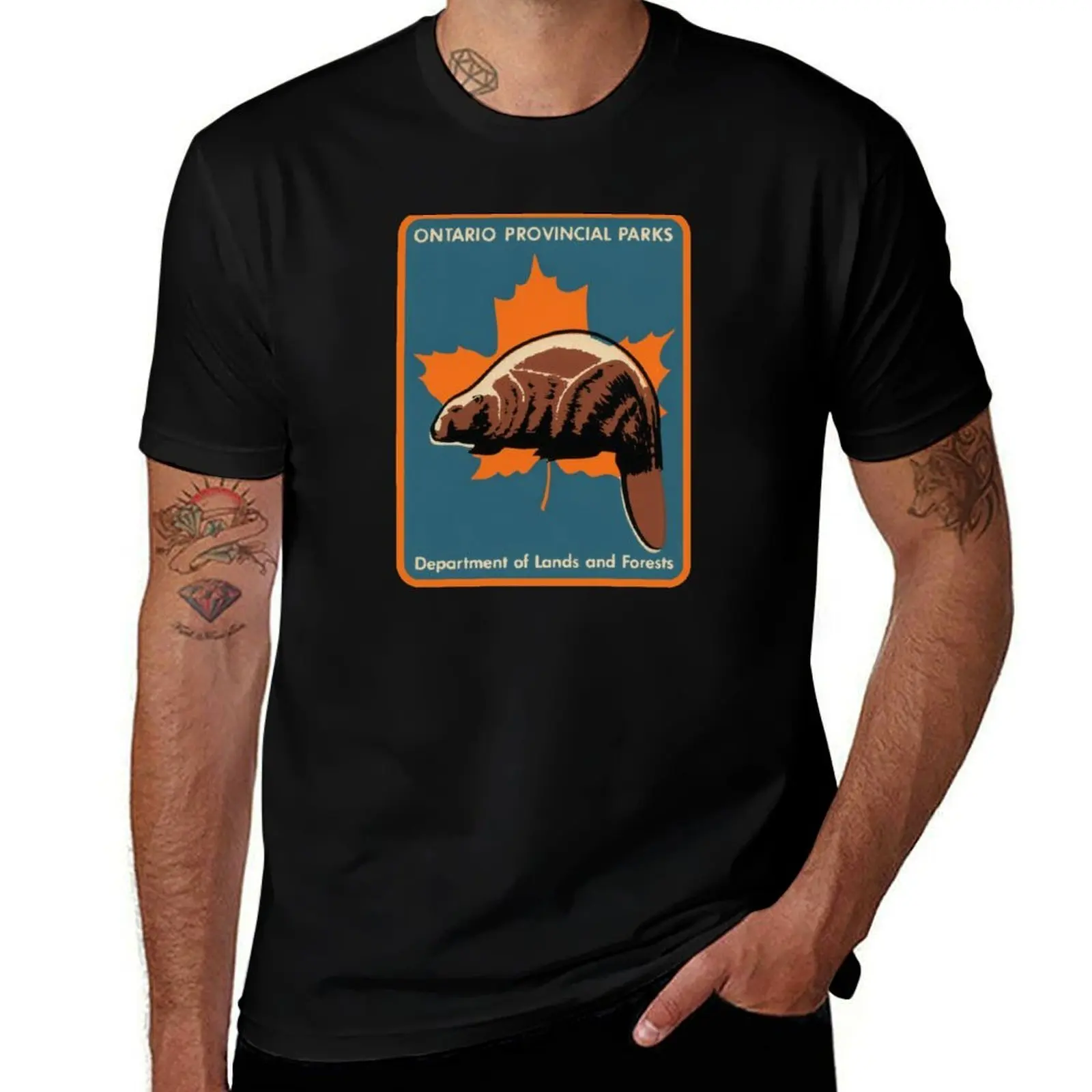 Ontario Provincial Parks T-Shirt Lightweight Running Sports T-Shirt