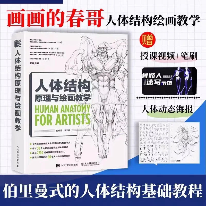 Adult Human Anatomy For Artists Human Body Structure Principle and Painting Teaching Book Anime Game Figure Copy Collection Book