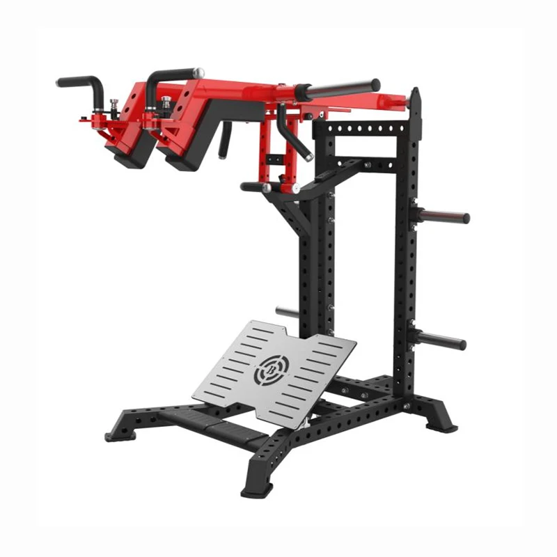 

Gym Strength Equipment Arm Shoulder Press Hack Squat & Shoulder Raise Dual Function Trainer