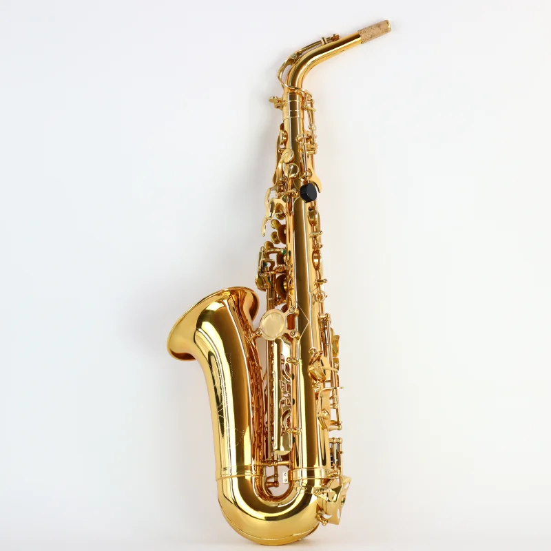 Beginners, Adults, Middle aged and Elderly, General Professional Performance, Grading Exam, Mid tone, E-tone Saxophone, High end