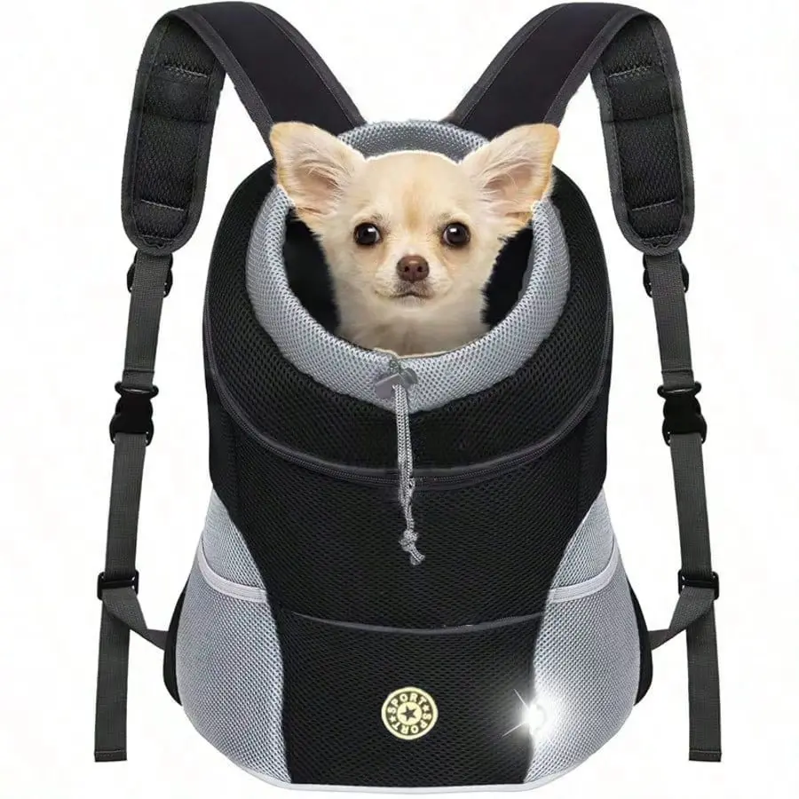#40 Latest Puppy Carriers Updates