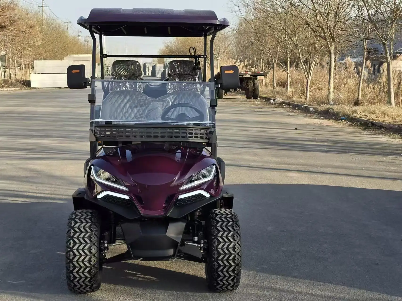 2/4/6/8 مقاعد الصيد عربة جولف الكهربائية على الطرق الوعرة عربات الغولف سيارة عربات التي تجرها الدواب سكوتر الغولف #6