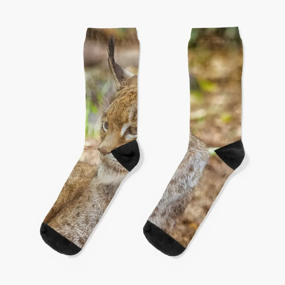 Lynx in close up Socks cool Antiskid soccer hiphop Women's Socks Men's