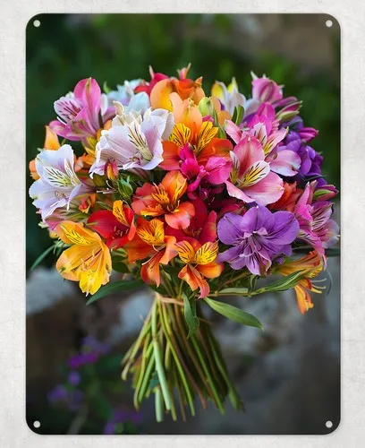 Bunch of Alstoemeria Flower Metal Poster Wall Tin Sign Man Cave Shed Home Plaque --Tin Sign