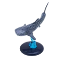 Whale shark