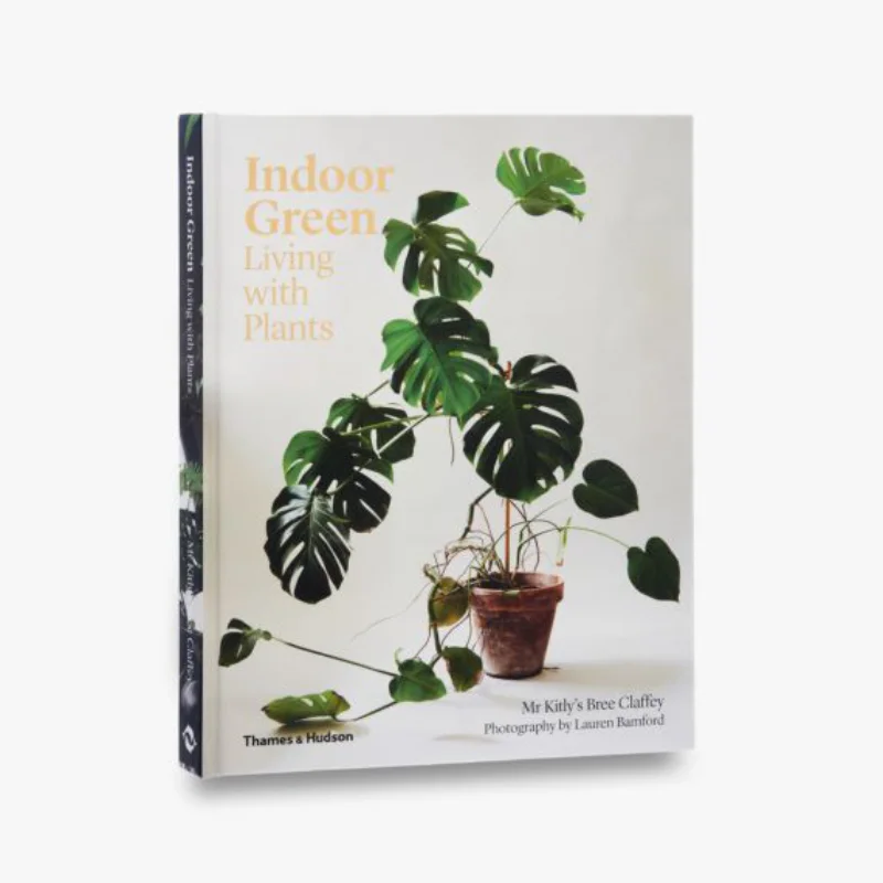 

ВНУТРЕННЫЙ ЗЕЛЕНЫЙ PB Mr Kitlys Bree Claf Thames And Hudson Ltd 9780500501061 Книга