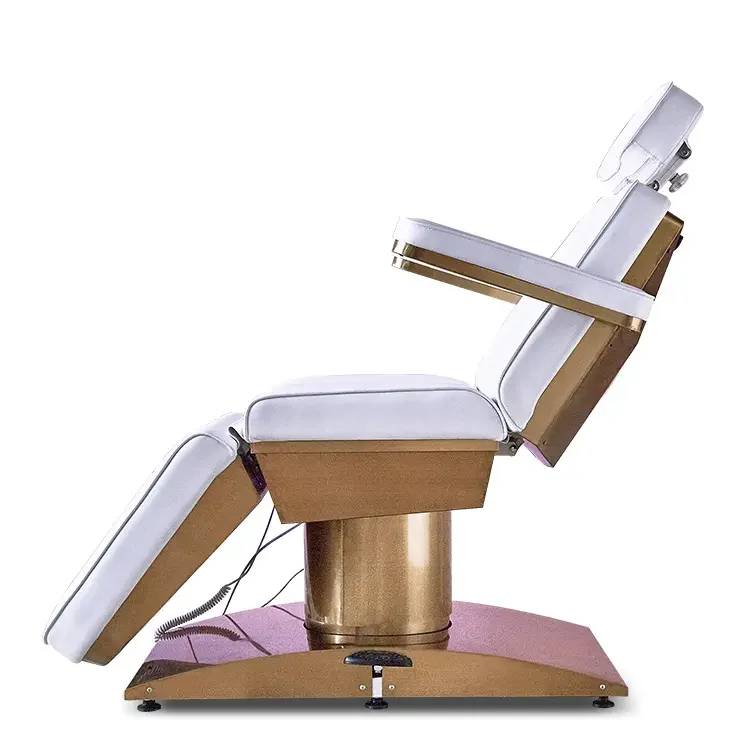 High End Salon Beauty Facial Bed 3 Motors Electric Massage Table Salon Massage Bed for Beauty and Spa Shop