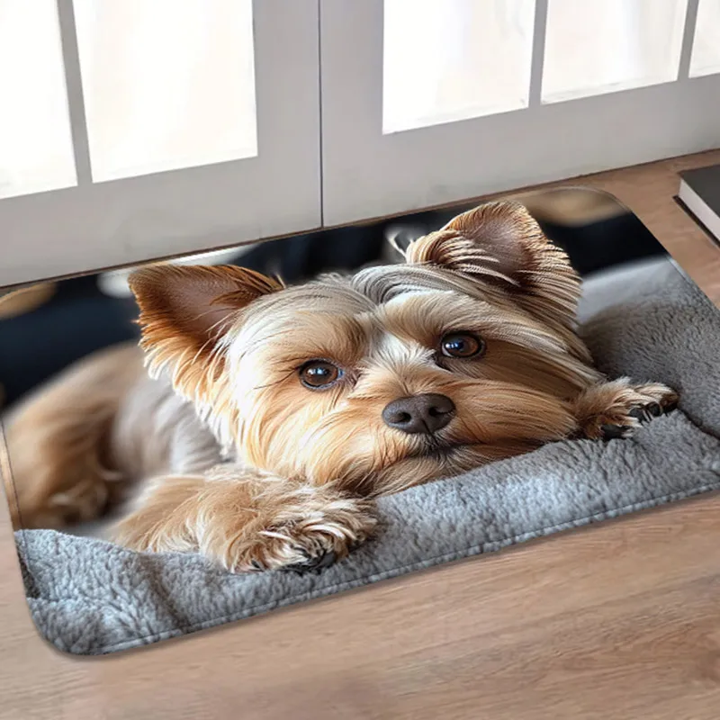 

1 шт. 660 г/ ㎡ Плюшевый коврик для двери с милой собакой, 10 мм, который можно стирать в машине, мягкий и красивый кухонный коврик для входа, кухонный коврик