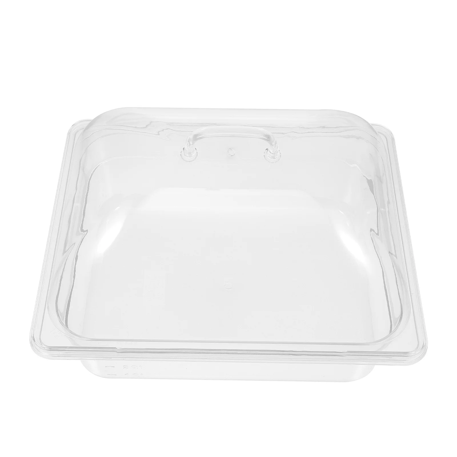 

1Set Clear Food Storage Tray with Lid Pc Buffet Plate Multifunctional Serving Plate Fresh Keeping for Kitchen Serving Tray