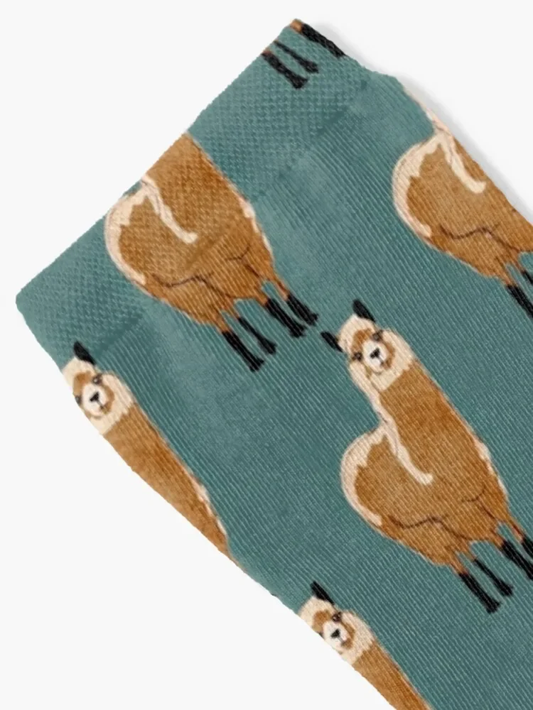 Minimalistic Alpaca Decor (Minimalistic Llama Design) Socks gifts custom sports winter gifts Socks For Women Men's