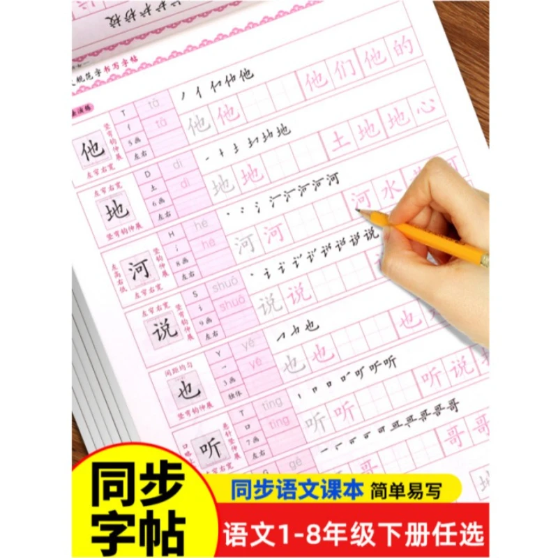 Grade 3-8 English Script Calligraphy, Primary School Student Specific Teaching Board, Daily Practice of Stroke Order