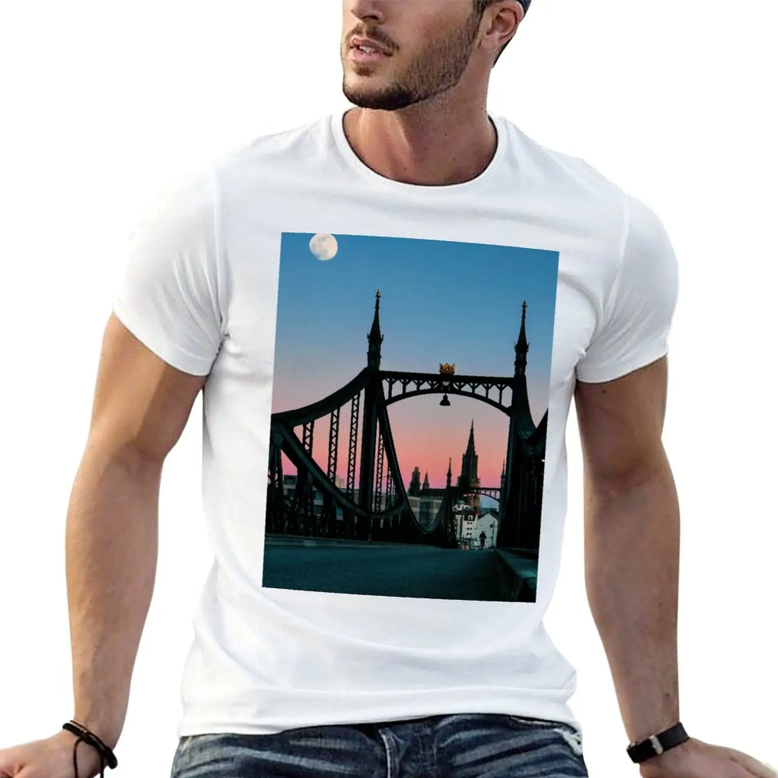 

Ulm at night T-Shirt t shirts designer funny t shirts cotton cotton t shirts man 100% T-shirt