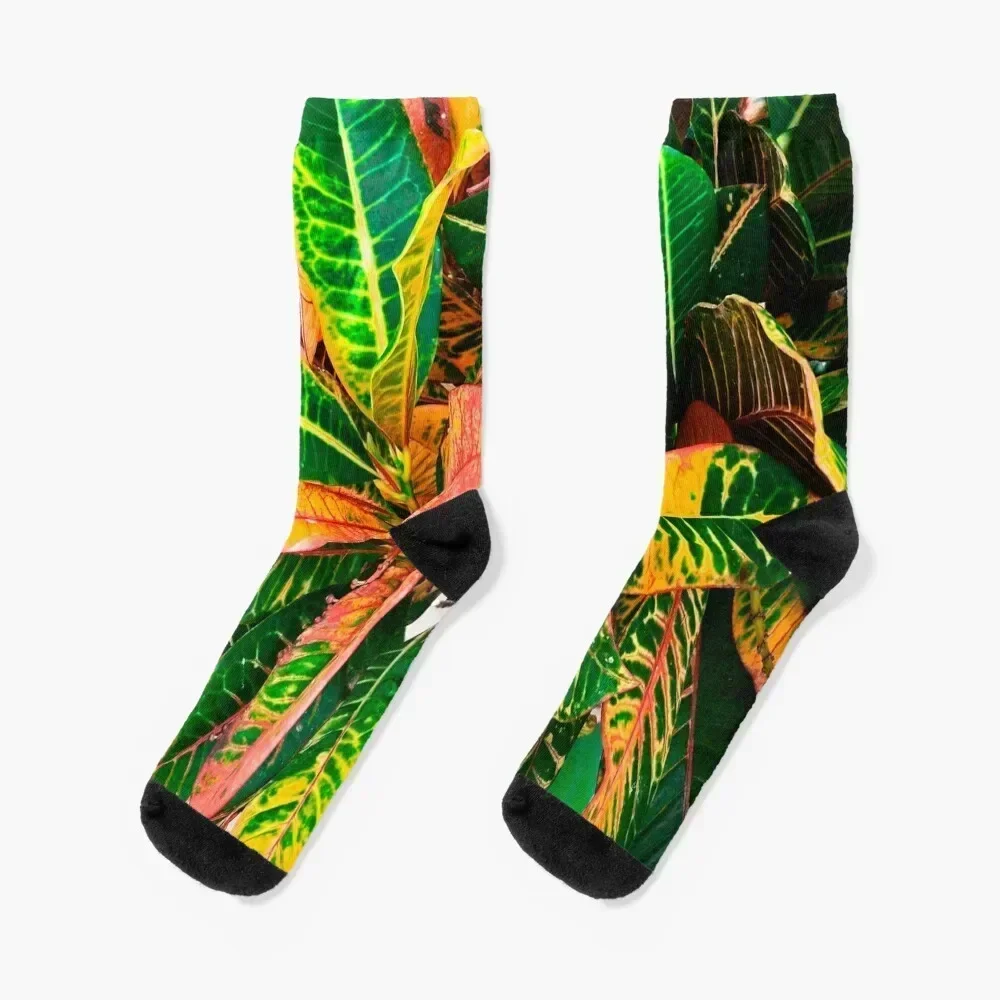 Exotic Green,Yellow, Red Leaves Croton Plants Socks Hiking boots heated Socks Girl Men's