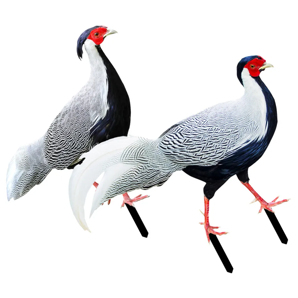 

2Pcs Garden Acrylic Stake Pheasant Shape Yard Ornament Lawn Decoration Outdoor Garden Accessory Decorative Pheasant Stake Sign