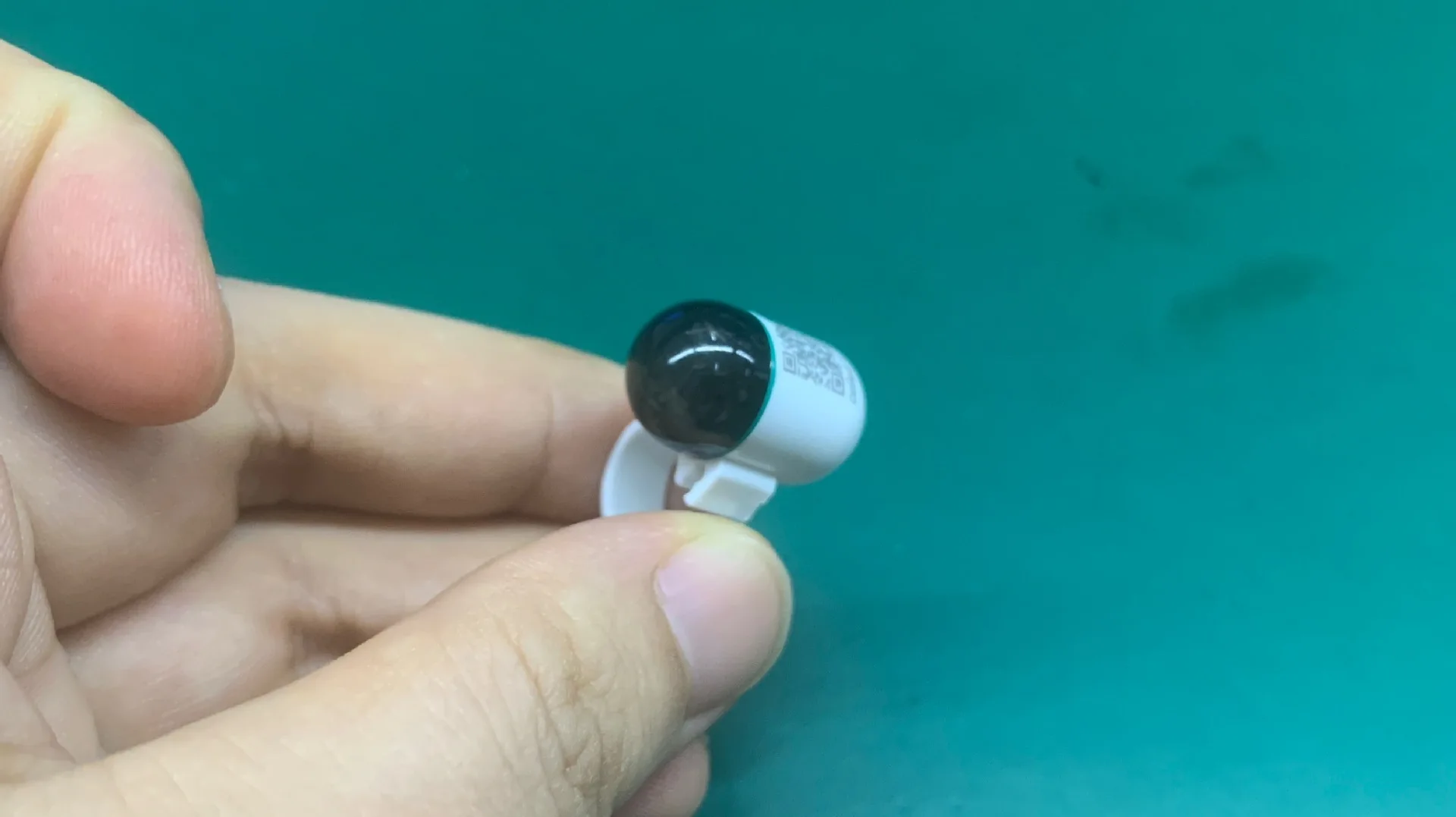 forReal-Time GPS locator for Pigeons and Loros Outdoor Flight locator Leg Bands and Ring Pigeon Piogeon Bird Positioning