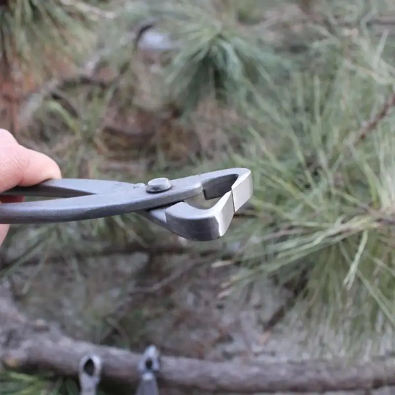 بونساي مقبض القاطع مقعر حافة القاطع 210 مللي متر الجذر كماشة القطع الكرة القص مقص لحديقة بونساي المشهد النمذجة248