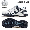 609baisenlan2