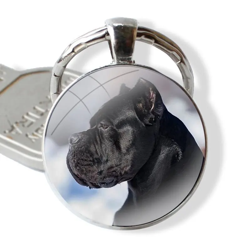 Fashion Creative Design Cartoon Keychain Handmade Glass Cabochon Key Ring Holder Pendant Key Chains Italian dogs Cane Corso