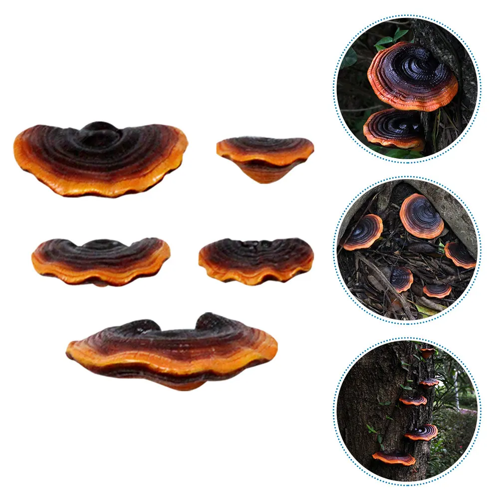 

5pcs Resin Miniature Mushroom Decorations Simulation Tree Hanging Figurines For Indoor Outdoor Garden Bonsai Micro Landscape