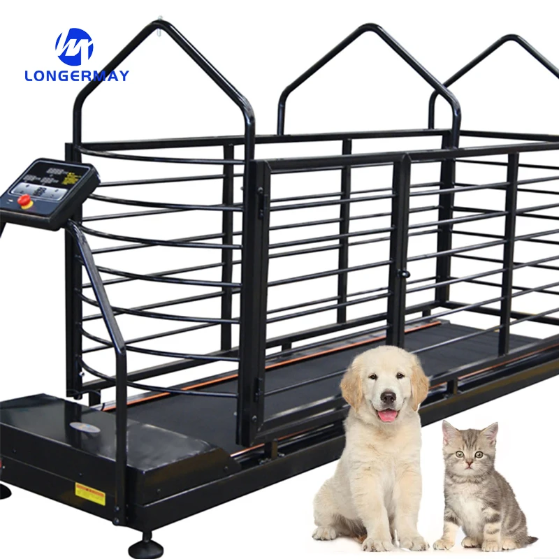 Treadmill Dog Treadmill Pet Pet Treadmill Indoor Exercise Pet