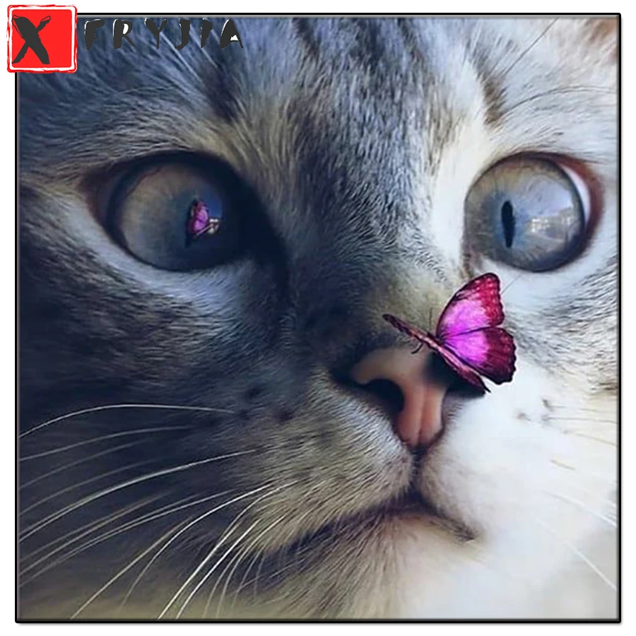 5D round square diamond Cute cat and butterfly embroidery Diy full sets diamond painting mosaic pictures rhinestones icon decor