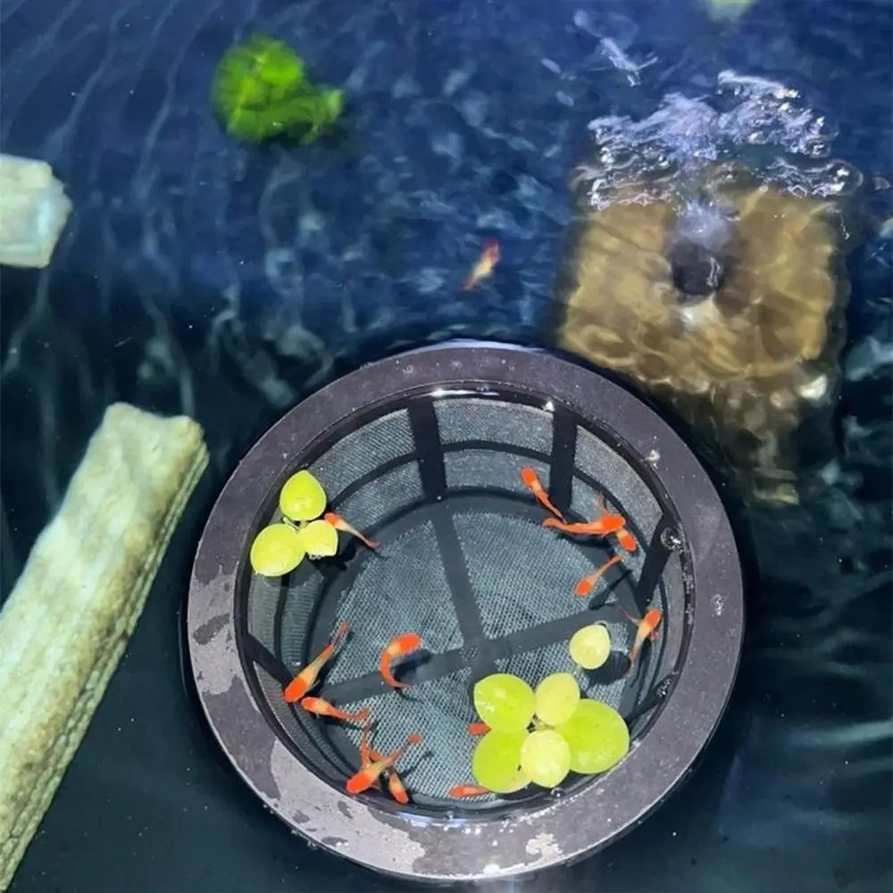 Large Capacity Fish Fry Cage Reusable Mesh Fish Fry Isolation Box Nursery Enclosure