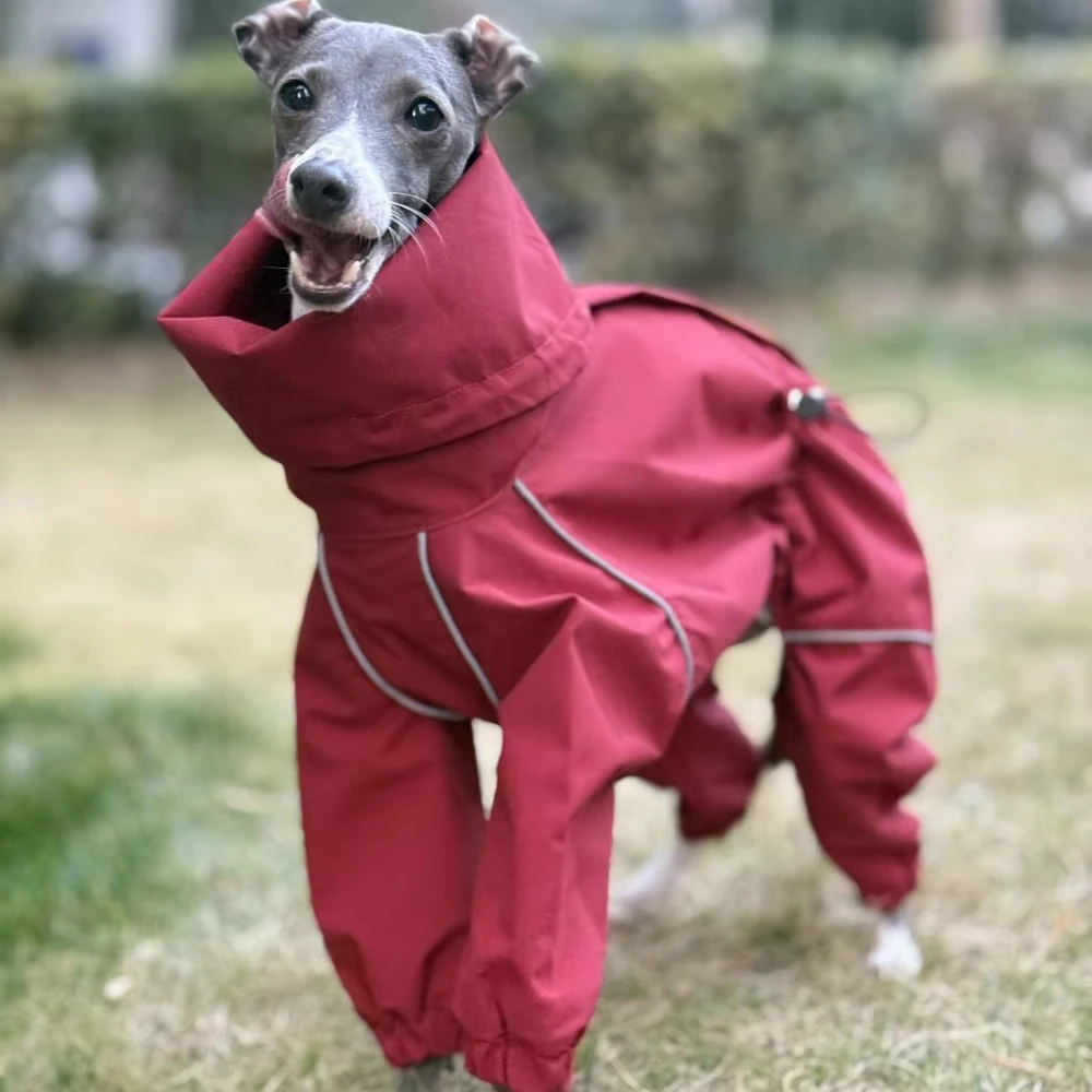 

Fashion Red Waterproof Greyhound Whipbit Interchange Jacket Windproof 4-legged Bedlington Dog Raincoat With Reflective Strip