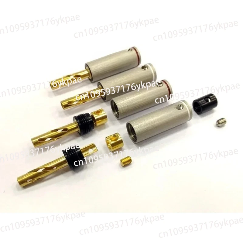 Banana Insert ABP-1… - image