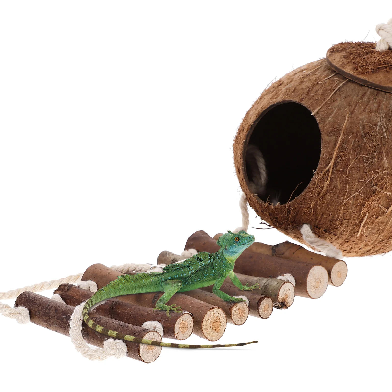 

1PCS Hermit Crab Habitat Ladder Sturdy Coconut Shell Cave Decorative Reptile Hideout Pet's Home Accessory Kitchen Terrarium