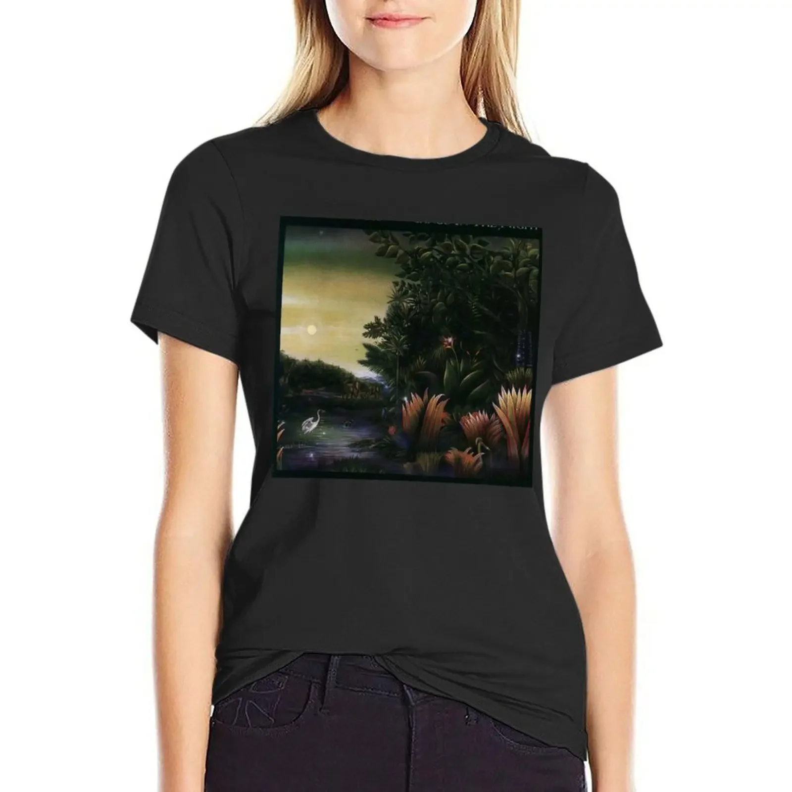 

Fleetwood Tango In The Night T-Shirt summer clothes aesthetic clothes female t-shirt dress for Women sexy