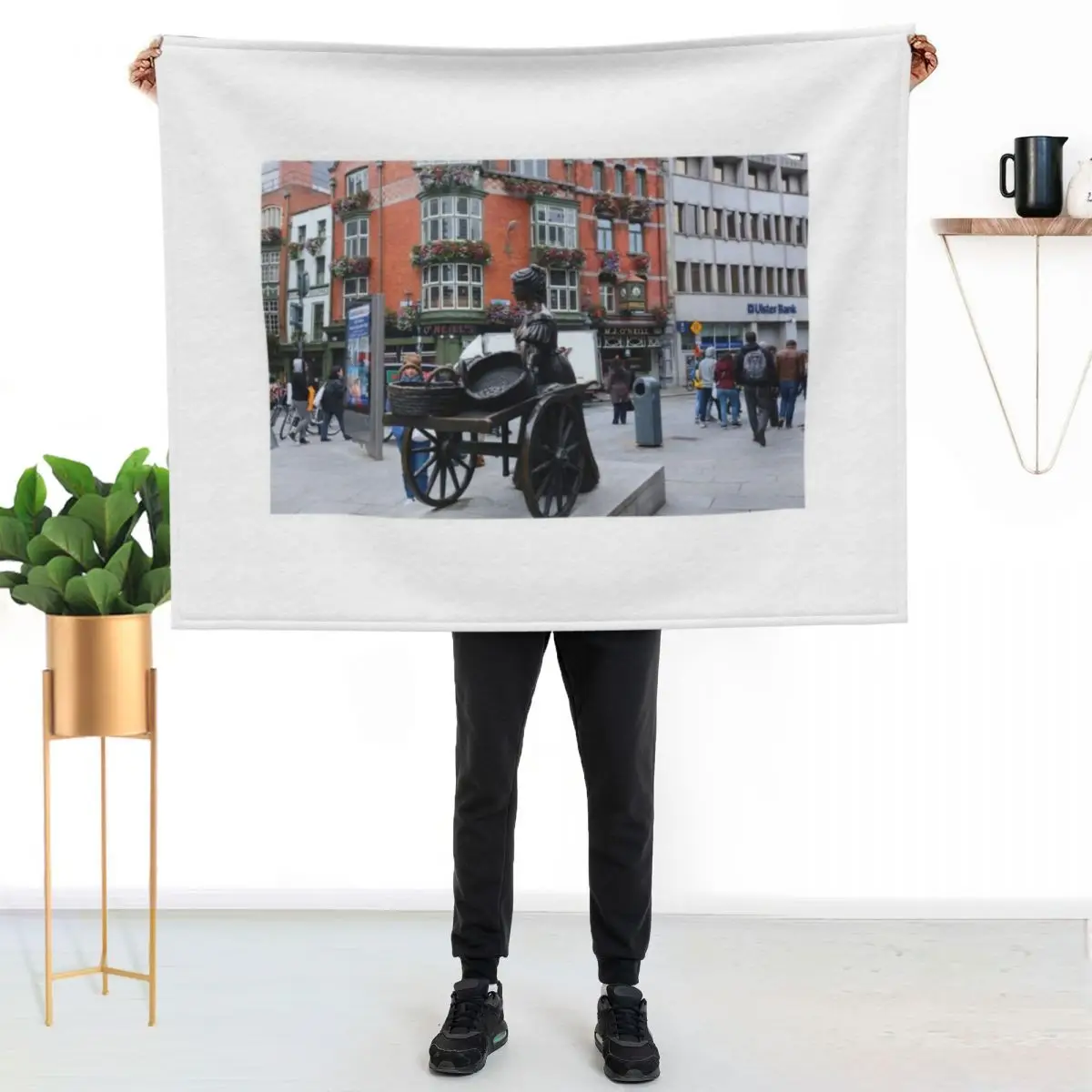 Statue of Molly Malone Throw Blanket Soft Beds heavy to sleep Luxury Cute Plaid Plaid on the sofa Blankets