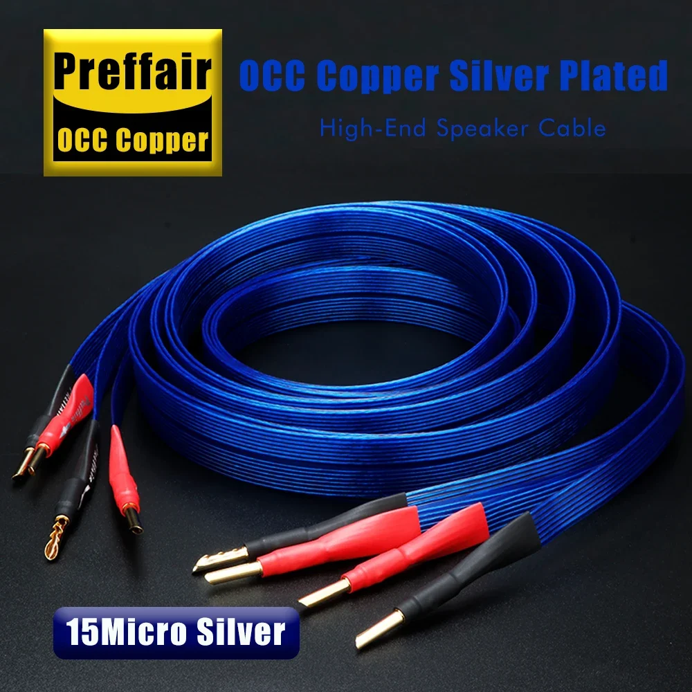 Pair Blue Occ Speak…