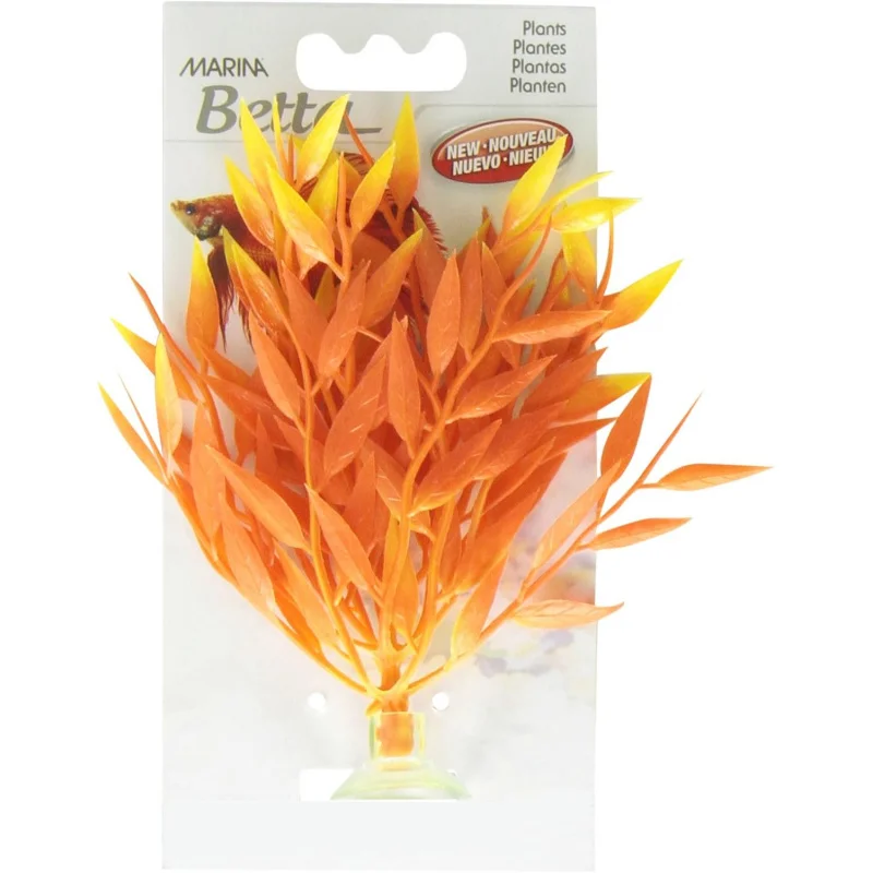 نبات مارينا بيتا فاير جراس البلاستيك، 5 بوصة #2