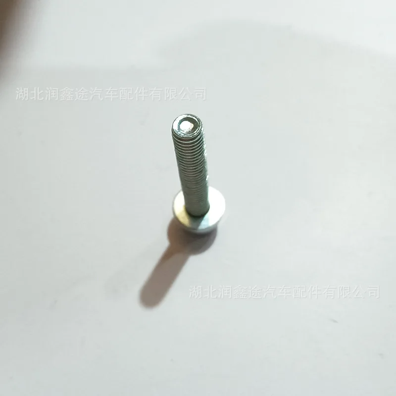 10Pcs 6925P3 Ignition Coil Screw for Peugeot 307 Citroen N7 N68 407