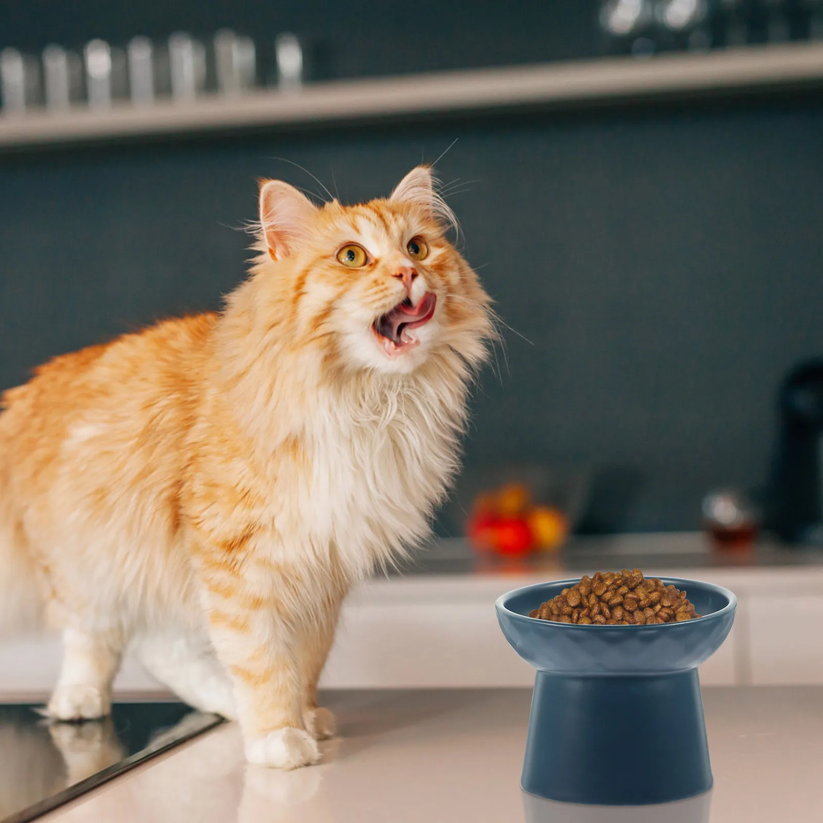 

Ceramic Raised Cat Bowl Elevated Pet Food Bowl Nordic-Style Kitten Feeding Dish Safe Round Edges Stable Bottom Comfortable