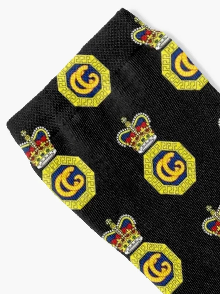 Her Majesty's Coastguard (HMCG) Socks Non-slip Stockings compression Stockings man Crossfit Socks Man Women's