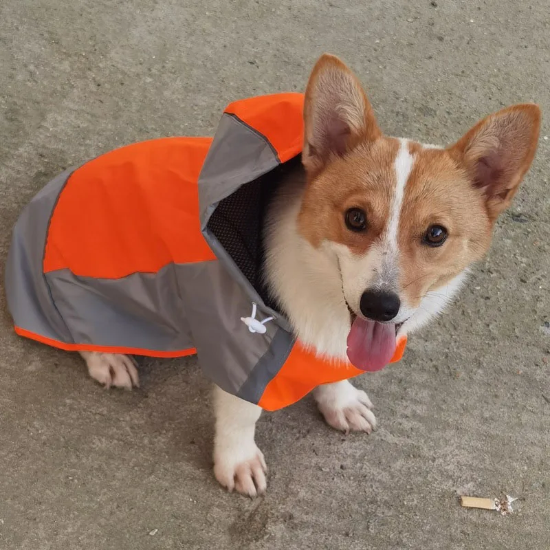 Summer New Dog Colored Raincoat Outdoor Two Legged Waterproof and Dustproof Pet Raincoat Large Medium Dog Corgi Cool Pet Apparel