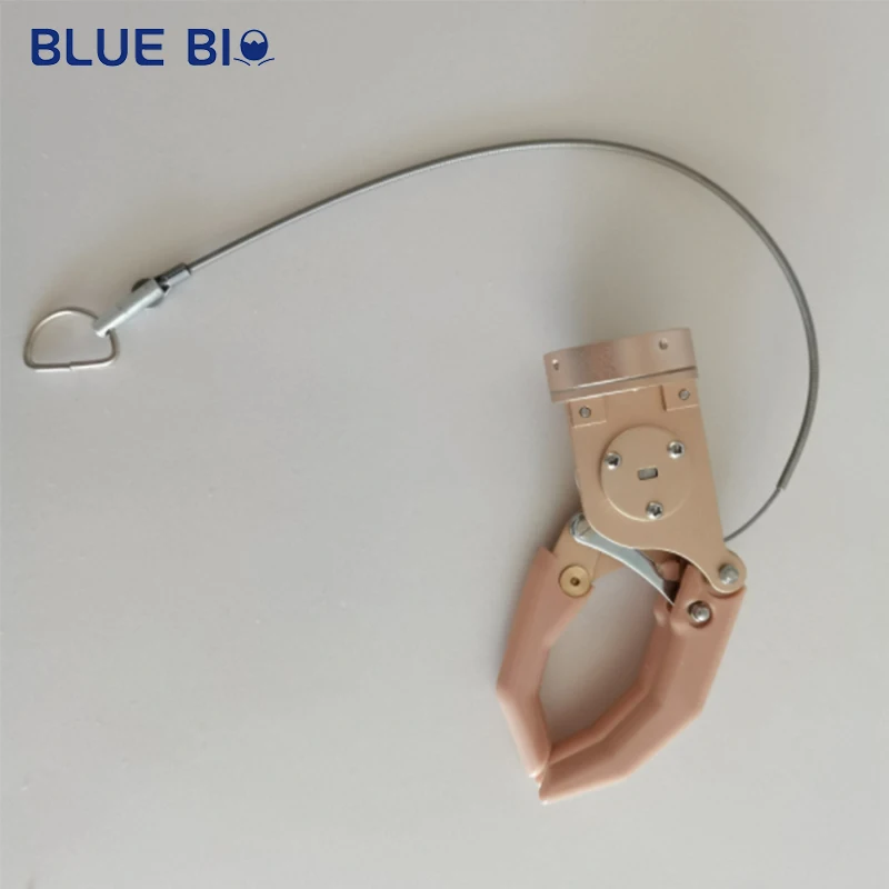 Prosthetic Hand Amputated Arm Fore Arm Myoelectric Hand System Artificial Limb  Hand