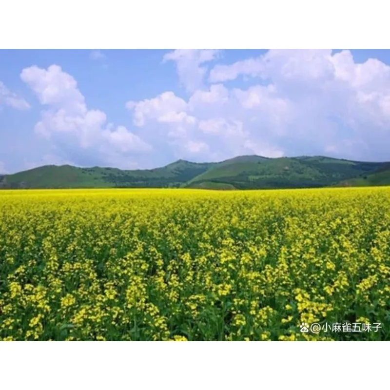 

Задний бампер Tiy, задний стоп-сигнал, указатель поворота, предупреждающие автомобильные детали, задний светодиодный задний фонарь автомобиля для Jeep Compass 2011 2012 2013