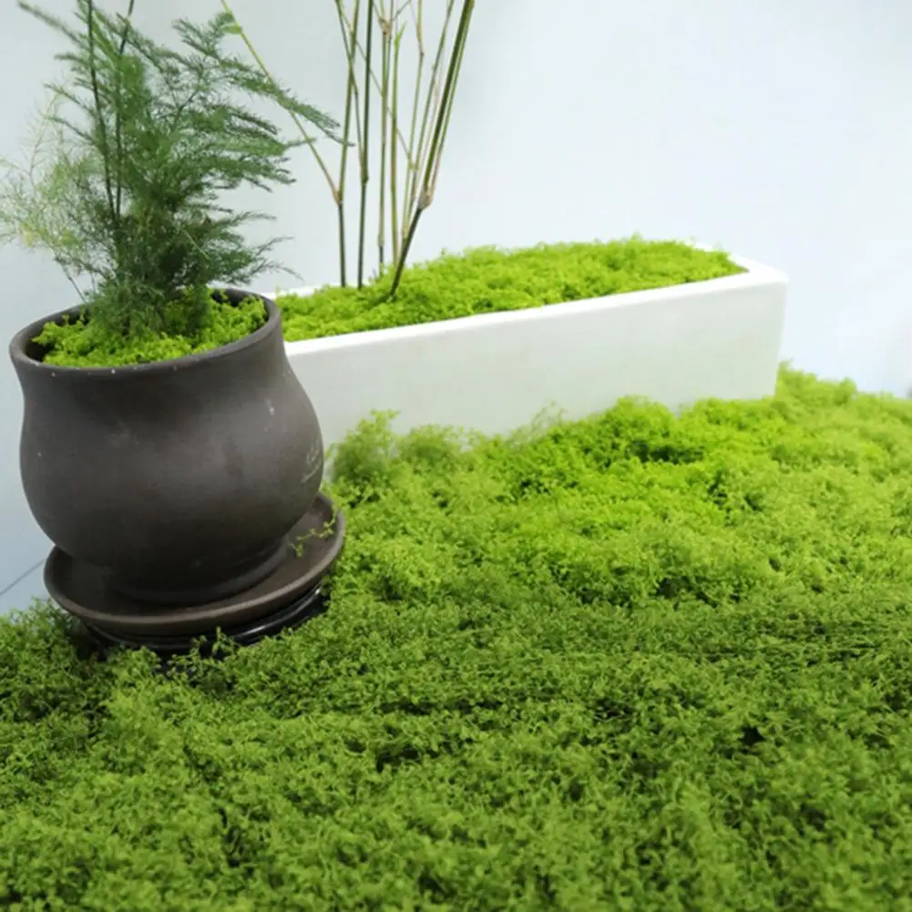Green Moss Decoration Artificial Green Moss 30/100g for Diy Crafts Indoor Plant Decorations Fairy Garden Accessories Table
