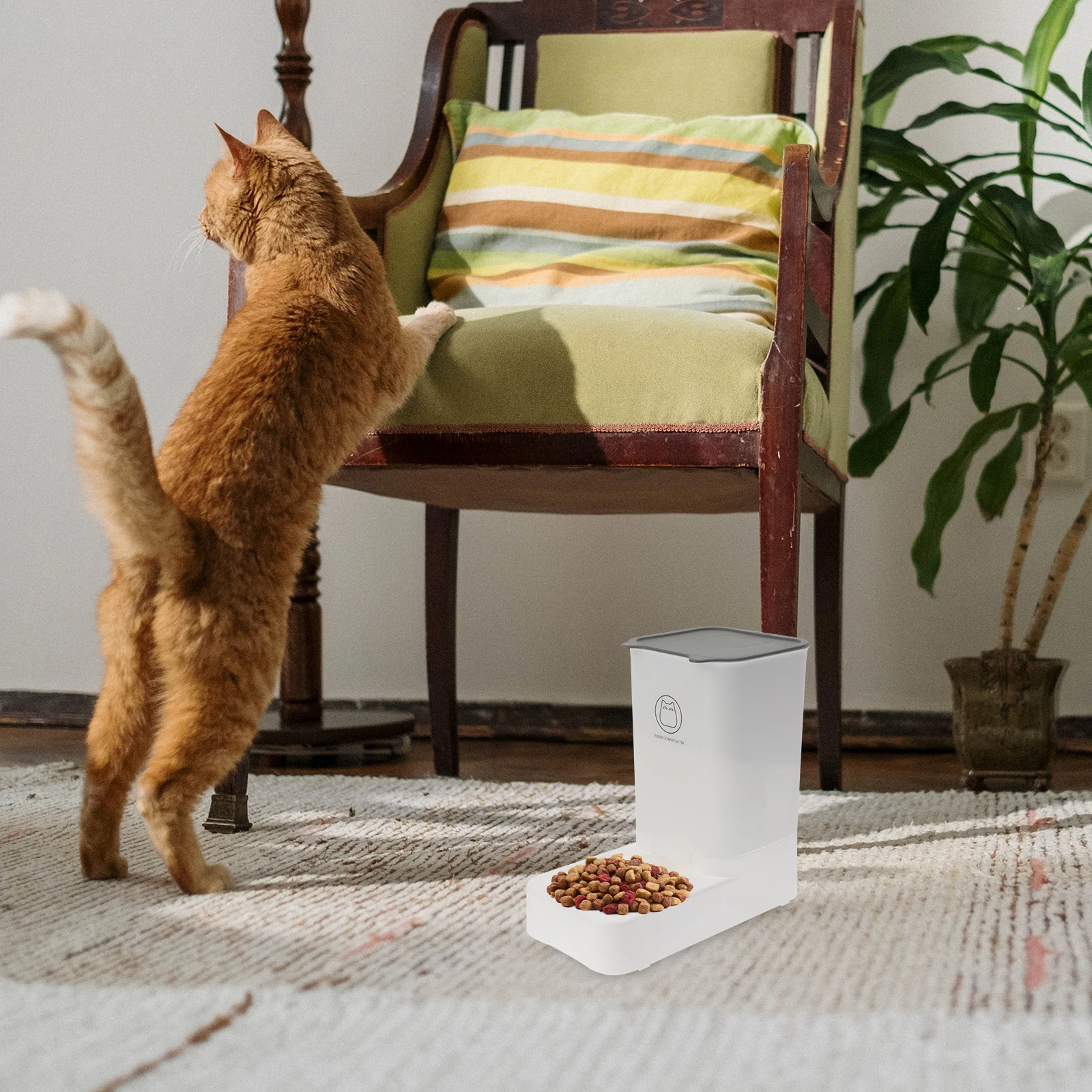 

Automatic Feeder Detachable Dog Dispenser Cat Snacks Bowl Washable Dry Food Holder Household Pet Supplies Feeding Container For