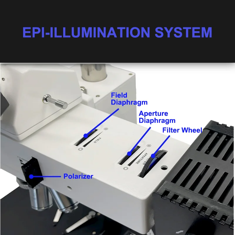 WSM1100 Metallurgical Microscope With 50-500x Magnification 6V30W Halogen Lamp Industrial Checking Measures Laboratory Use