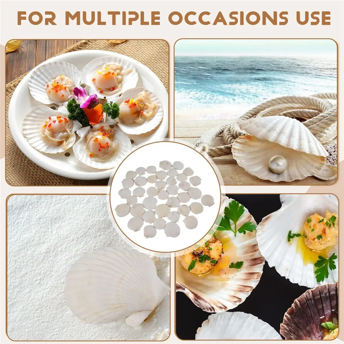 

40PCS Natural Scallop Shells 1.4-2.4inch White Small Sea Shells for Crafts Crafting Shell Bulk Real Seashells