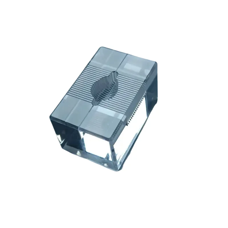 1mm Acrylic Rodent Brain Matrices Mouse Heart Matrices for Mouse Rat Neurophysiology Anatomy Biochemical Pharmacology fast shipp