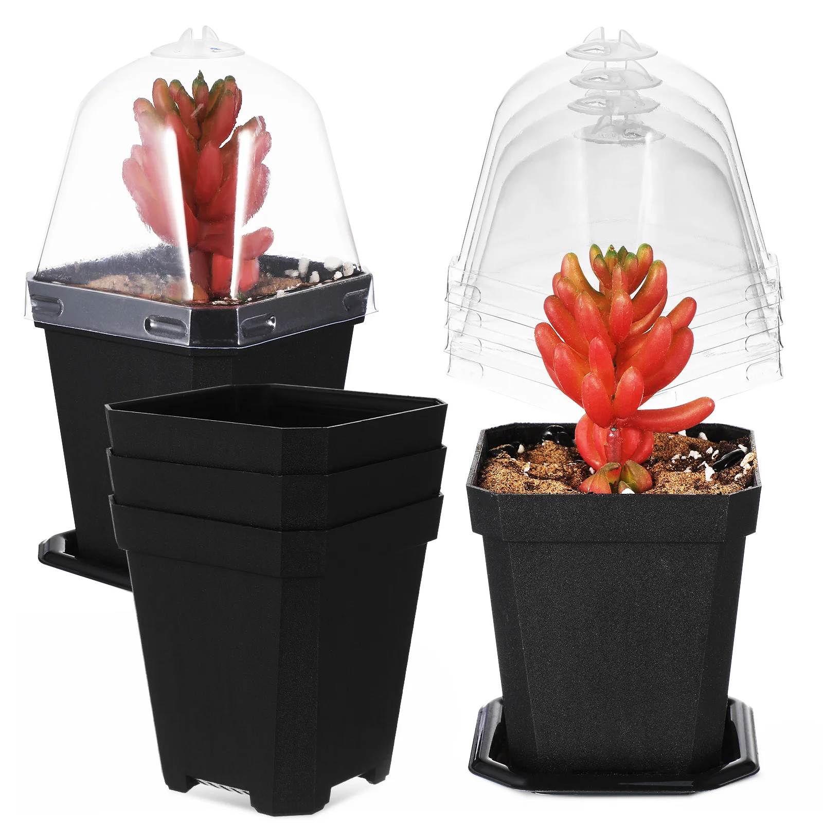 

Plant Succulent Small Flowerpot Nursery Pots With Humidity Domes Tray Plastic Plants Potting