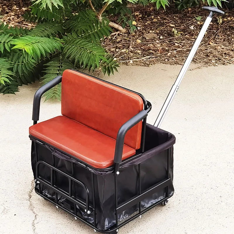 Multifunctional Tricycle Child Seat & Storage Wagon Convertible Rear Basket for Cargo Removable Kids Seat Pull Cart for Bicycle