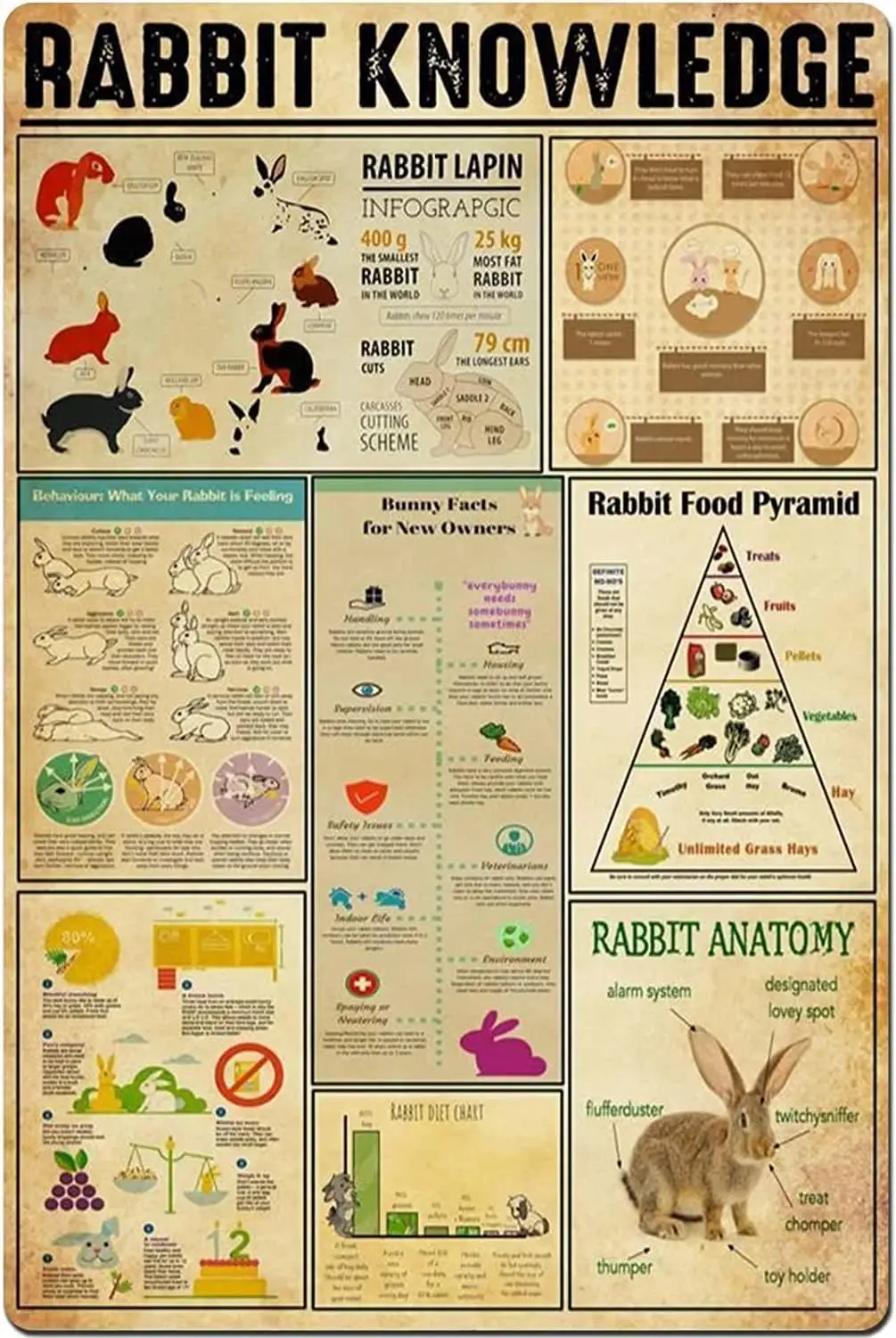 ESETASOT Rabbit Knowledge Panneaux en métal vintage, Affiches éducatives sur la pyramide alimentaire des lapins, Décoration murale pour salon, chambre et maison 8x
