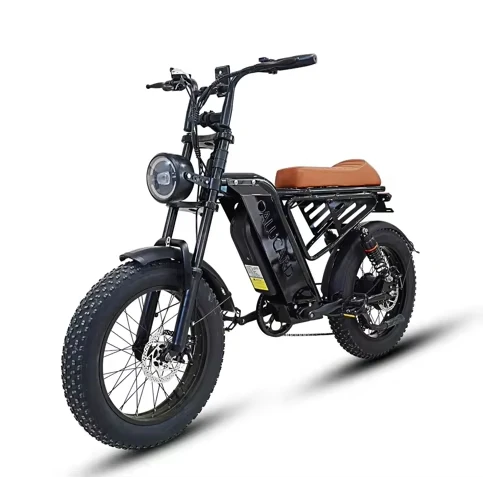 Adult Electric Bicycle, 20-inch Wide Tires, 750W Motor, 48V 13Ah Battery, Top Speed 45-50 Km/h, Dual Suspension.E Bikes，E Bike Electric，Bike Electric，Dirt Bike，Electric Bike For Adults image 2