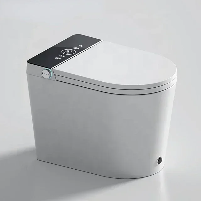 

Excellent New Design Concealed Tanks Elongated Black Toilet Intelligent Automatic Wc Toilets