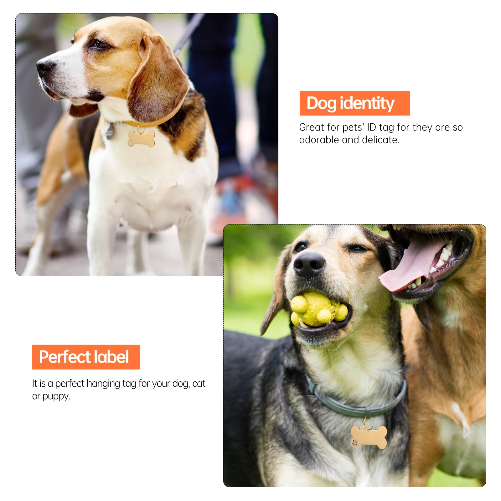 

1 set 1 Set For Id Tags Dog Cat Puppy Personalized Name Plate Identity Tag Hanging Charm Pet Pendent Pet Tag Accessory